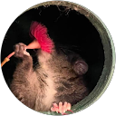 Tilai C. profile picture