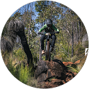 Jesse M. profile picture