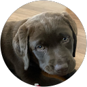 Megan M. profile picture